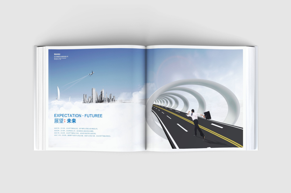 清水县画册设计